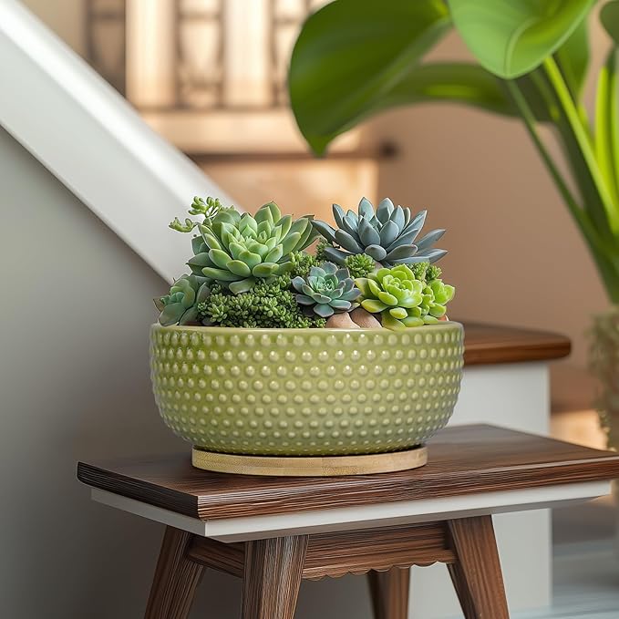 Bonsai Planter - 8 Inch Ceramic Succulent Pots with Drainage Hole and Saucer for Indoor Plants, Boho Shallow Round Planter Bowl, Desk Decor, Garden Lover Gifts, Green