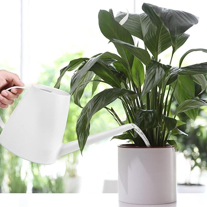Plastic Watering Can - for Indoor and Outdoor House Plant Garden - with Long Spout - 1/2 Gallon - White