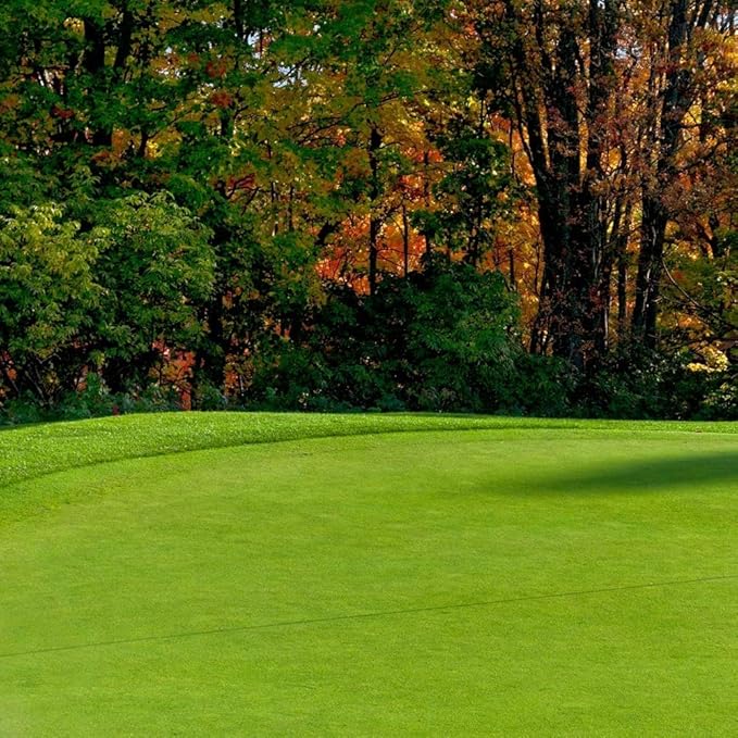 Creeping BentGrass Seeds, 5 Pounds