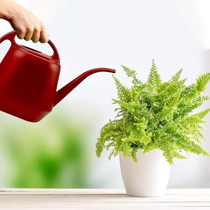 Fasmov Plastic Watering Can, Burnt Red, 1-Gallon