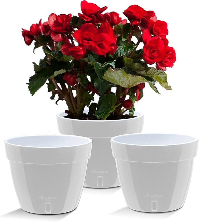 Santino ASTI 11.8 Inch Self Watering Planters Grey/White (Set of 3) for Indoor Plants - Premium Quality Modern Plastic Pot w/Water Level Indicator for All House Plants, African Violets and Dahlias