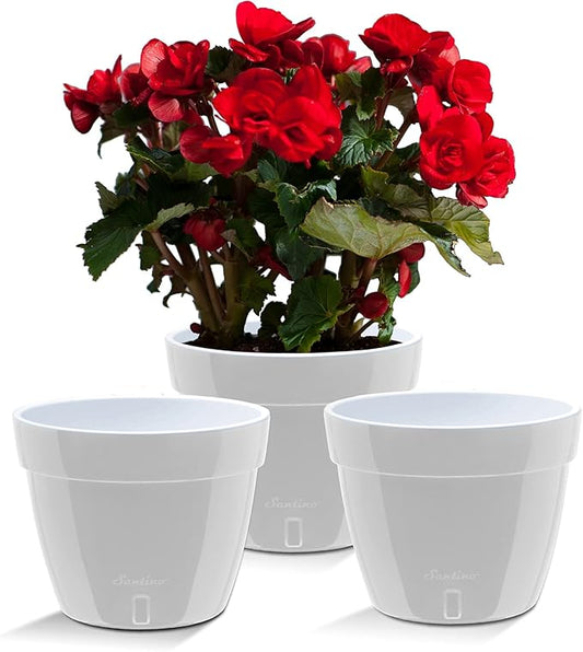 Santino ASTI 11.8 Inch Self Watering Planters Grey/White (Set of 3) for Indoor Plants - Premium Quality Modern Plastic Pot w/Water Level Indicator for All House Plants, African Violets and Dahlias