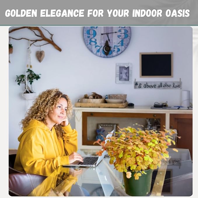 Oxalis Golden Live Plant in 4-Inch Pot - Vibrant Golden-Yellow Foliage, Low Maintenance Houseplant for Indoor/Outdoor Décor and Unique Gift Ideas (Heat Pack Included)