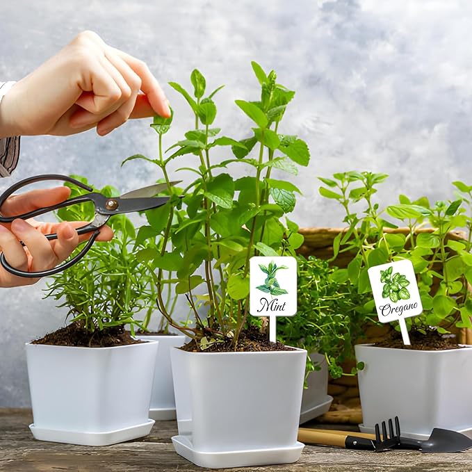 12Pcs Herb Garden Signs - 12 Styles Plant Labels with Names for Vegetables, Indoor/Outdoor Garden Decoration