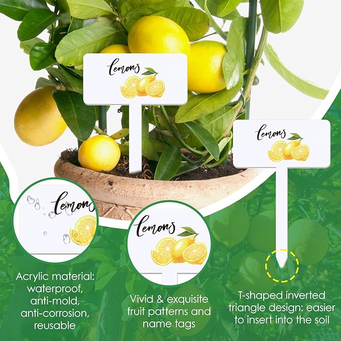 30 Pcs Acrylic Fruit Plant Labels for Outdoor Garden Waterproof Garden Markers for Plants, Fruit Seeds Name Tags for Planting 15 Styles T-Type Reusable Plant Labels for Nursery Decoration