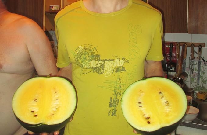 Yellow Watermelon Seeds Rare Hierloom Vegetable for Planting Giant Non GMO 15 Seeds