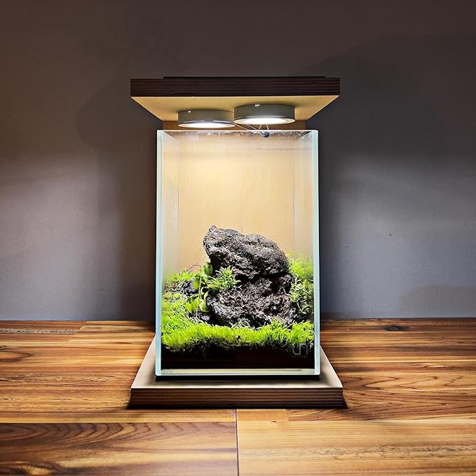 SubstrateSource Live Plant - Utricularia Graminifolia Tissue Culture Aquatic Live Aquarium Plant Grass Carpet for Aquascape - 100% Snail Free in Vitro Cup (Utricularia Graminifolia)