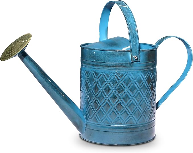 Headwind Wexley Metal Watering Can Outdoor – Mountain Blue Wave 2 Gallon Decorative Metal Watering Cans for Garden, Patio, and Indoor Plants – Durable, Stylish, and Easy to Use by Robert Allen