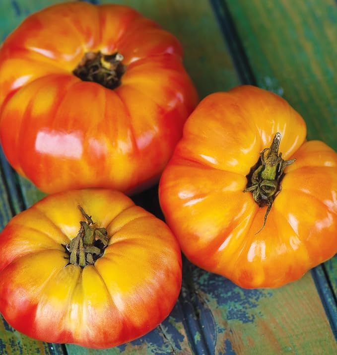 Burpee 'Big Rainbow' Heirloom, Large Beefsteak Slicing Tomato, 100 Non-GMO Seeds