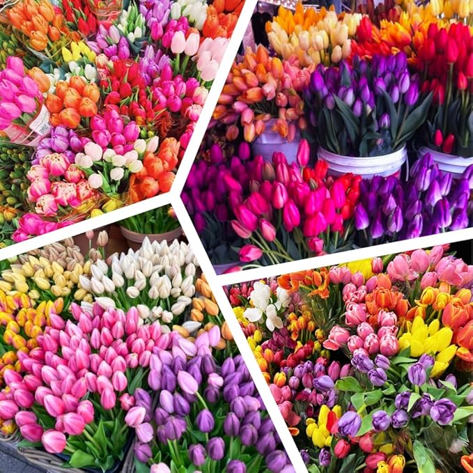 20 Mix Tulip Bulbs for Fall Planting, Vibrant Spring Blooms, Easy Fall Planting, Bulk Tulips Bulbs Perennial Flowers, Medium Size Bulbs Ready to Grow (Mix Single Tulip Bulbs)