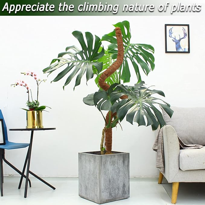 Soupiar Moss Pole for Plants Monstera, 59 Inch Tall Bendable Moss Poles for Climbing Plants Indoor, Large Handmade Plant Pole Sticks, Coco Coir Plant Support Stakes for Potted Plants, Pothos