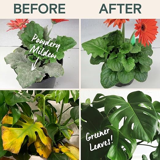 Organic Liquid Plant Food & Fertilizer – Indoor/Outdoor for Houseplants, Vegetables & Flowers, Monstera & Money Tree – OMRI Listed, Pollinator Safe – Easy Weekly Mix (Nutrition & Health Set)