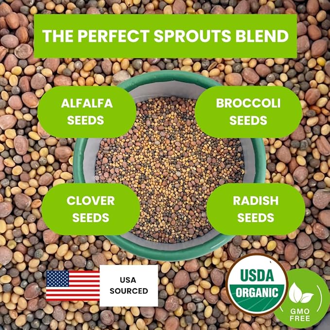 ZestiGreens Fresh Sprouting Seeds Mix (16oz) Broccoli, Alfalfa, Radish, Clover Seeds in Food Grade Colorful Container with Lid for Easier Scooping & Keeping Fresher