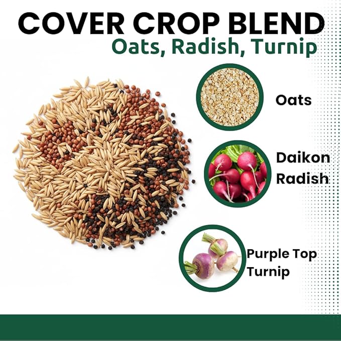 Cover Crop 3 Seed Mix - Oats, Daikon Radishes and Purple Top Turnips - Winter Kills, Promotes Earth Worms, Tons of Forage (10 Pounds)