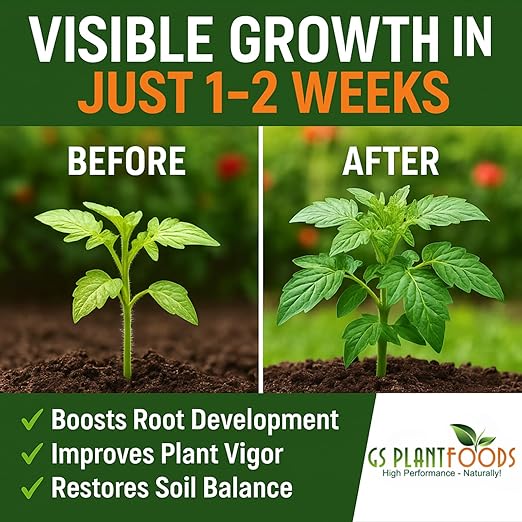 GS Plant Foods Root Ruckus Compost Fertilizer Organic Plant Food - Turbo Charged Compost for Plants - Humic Acid & Sea Kelp Nutritional Root Supplement for Lawns, Soil, Shrubs & Vegetables - 1 Gallon