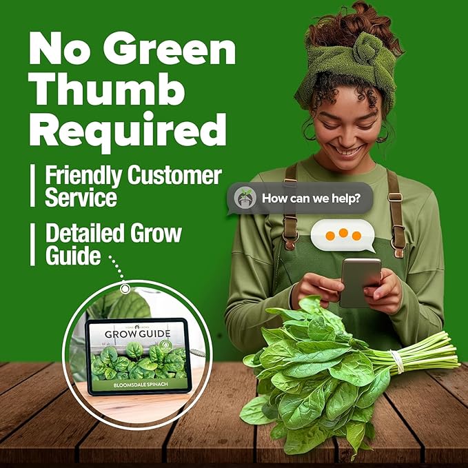 HOME GROWN Bloomsdale Spinach Seeds Pack – 353 Heirloom Seeds – High Germination Spinach for Indoor, Outdoor, Hydroponic Planting & Home Gardens (Spinacia oleracea)