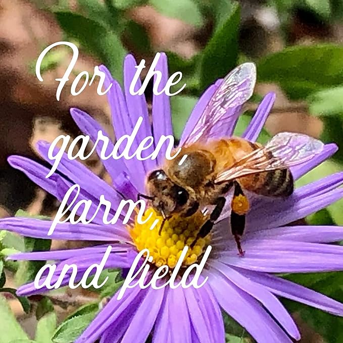 Wildflower Seed Bulk, 3 Oz. (80,000+ Seeds) – 19 Non-GMO Flower Seeds for Shade, Annual & Perennial Wild Flowers Mix for Partial Shade – Shade Tolerant by Mountain Valley Seed