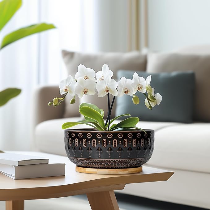 Bonsai Planter - 8 Inch Ceramic Pots for Plants Indoor, Shallow Round Succulent Bowl with Drainage Hole and Tray for Cactus, Boho Room Garden House Decor, Birthday Gifts, Black