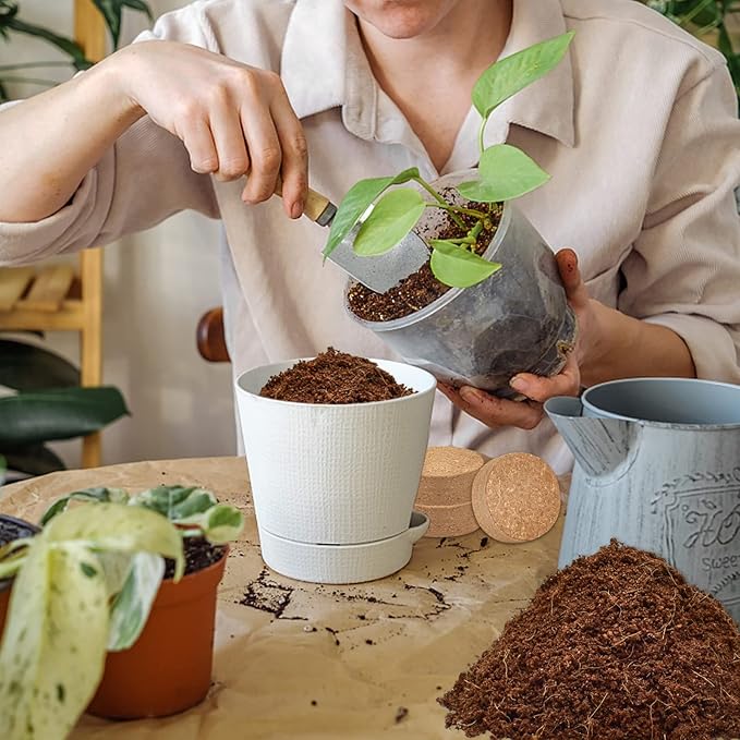 ZeeDix Coco Coir Potting Soil, 100pcs 30mm Compressed Coconut Fiber Seed Starter Soil Pellets, Coco Peat Soil Discs for Indoor Outdoor Plants, Herbs, Houseplants, Flowers, Succulents, Vegetables