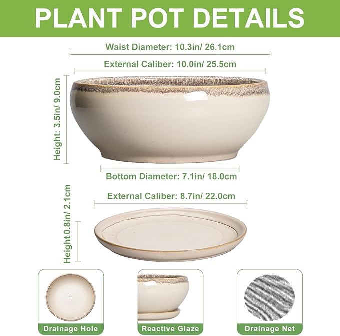 SQOWL Bonsai Tree Pots - 10 Inch Ceramic Succulent Pots, Round Shallow Planter with Drainage Hole and Tray, Bowl Planter for Indoor Outdoor Plants Flowers, Room Decor, Garden Gifts, Beige