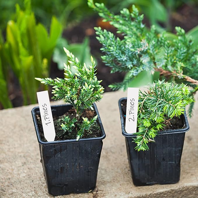 Foraineam 1000 Pcs 4 Inches Plant Labels Plastic Plant Tags Nursery Garden Labels Pot Marker Garden Stake Tags (Pack of 2)