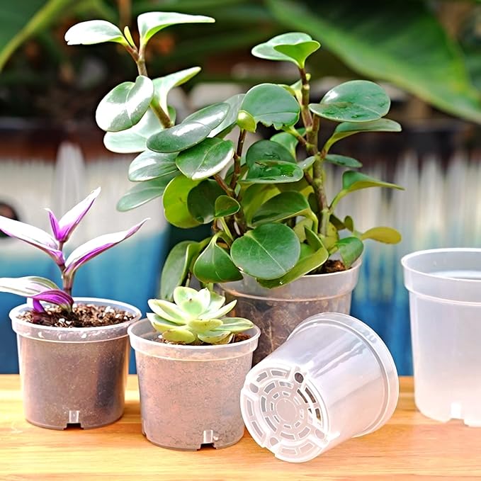 60 Pcs 4 Inch Clear Nursery Pots for Plants, Transparent Plastic Plant Pots with Drain Holes, Seed Starter Pots with 20 Plant Labels for Flowers Vegetable Seedlings
