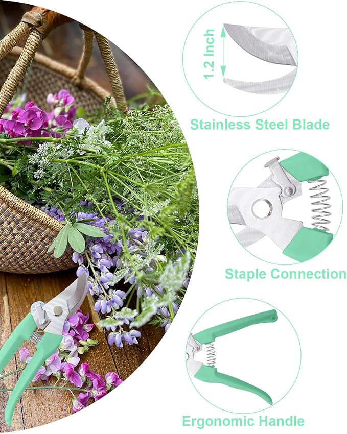 Pruning Shears for Gardening, 1 Pack Garden Scissors for Cutting Fresh Flowers, Floral Clippers for Plants, Fruits (Green)