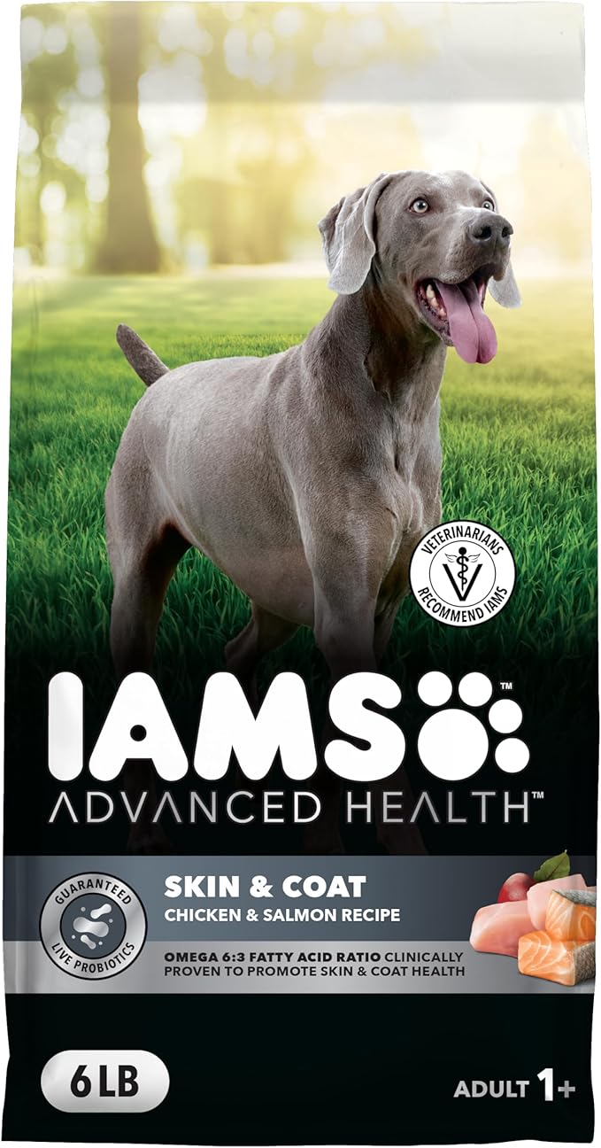 IAMS Advanced Health Skin & Coat Adult Dry Dog Food Chicken and Salmon Recipe, 6 lb. Bag