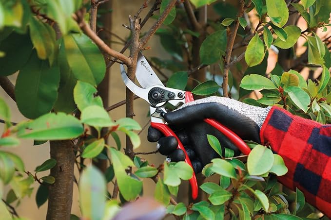 Kamikaze Pruning Shears KM-5 Forged Professional Thin Hand Pruners for Gardening. PVC Coated Aluminum Handles. Semi Professional Garden Clippers. Bypass pruning shears. Case is Included