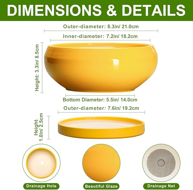Bonsai Pots - 8 Inch Ceramic Succulent Planter for Indoor Outdoor, Shallow Planters with Drainage Hole and Saucer, Round Modern Planter Bowl, Window Decor, Gifts for Plant Lovers, Yellow