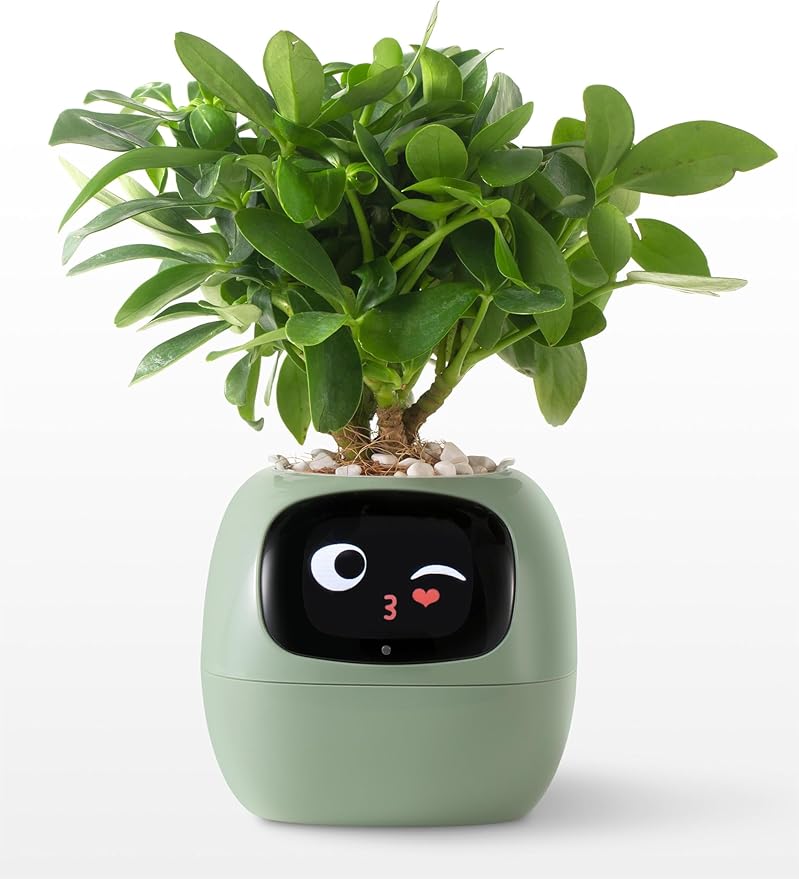 Plantagotchi AI Smart Plant Pot – Expressive Gesture-Controlled Planter with Light, Moisture & Temperature Sensors, App Care Guidance – Desk/Office Gift