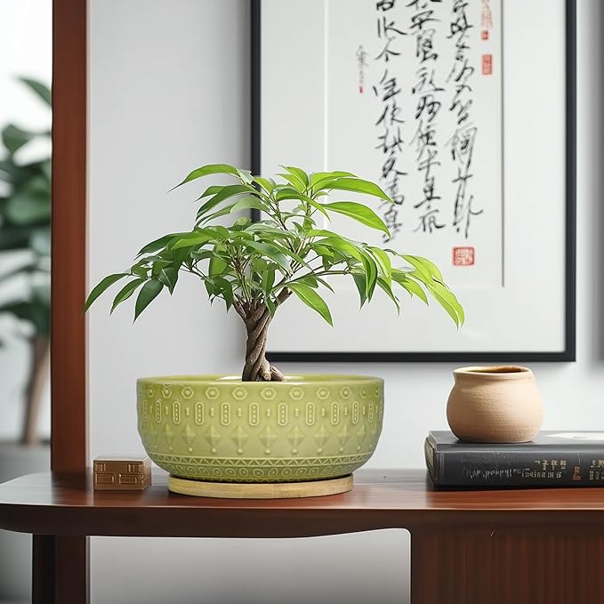 Bonsai Tree Pot - 8 Inch Ceramic Succulent Pots with Drainage Hole and Saucer, Boho Round Shallow Planter Bowl for Indoor Plants Flower, Office Decor, Gifts for Women & Men, Green