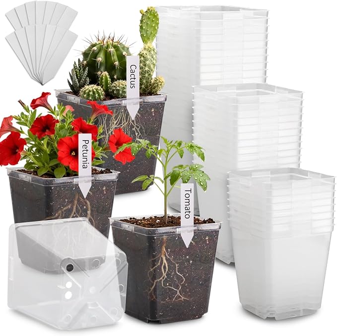 5.5 Inch Clear Square Nursery Pots with Drainage & Labels, 30Pcs Reusable Seed Starter Pots for Vegetables, Indoor Outdoor Gardening, Thick Transparent Plastic Plant Pots for Seed Starting