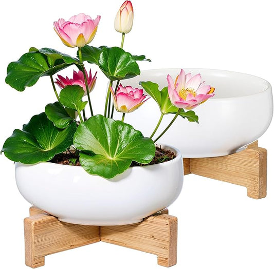Baderke 2 Pcs Lotus Bowl Planter with Base Ceramic Hydroponic Planter Water Lily Bowl for Planting Aquatic and Indoor Plants Household Ceramic Basin Decor(White)