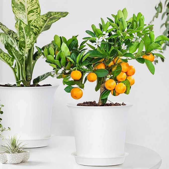 Planter Pots 8 Packs, 7.2 Inches Flower Pots with Drainage Holes & Trays, Ideal for Succulents, Herbs, Flower, African Violet, Garden Plant Pots for Home Garden Kitchen Decor (White-3)