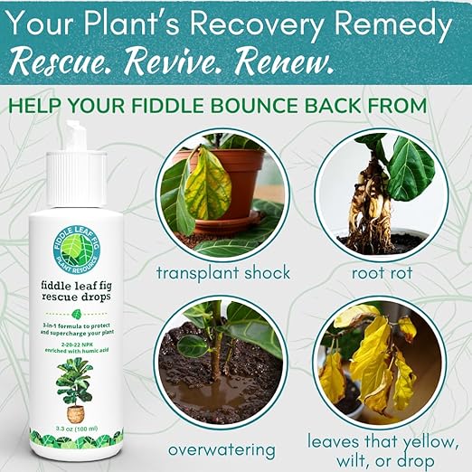 Fiddle Leaf Fig Rescue Drops – Treats Root Rot, Brown Spots, Leaf Drop & Stress | Immune Boosting Liquid Formula Concentrate | Easy to Use | Safe for All Tropical Plants | 3.3 oz | Made in USA