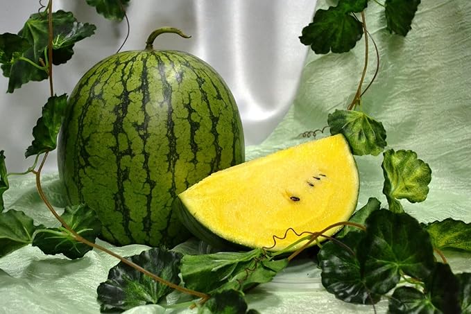 Seeds Yellow Watermelon 11 lbs - Fruits for Planting - GMO Free