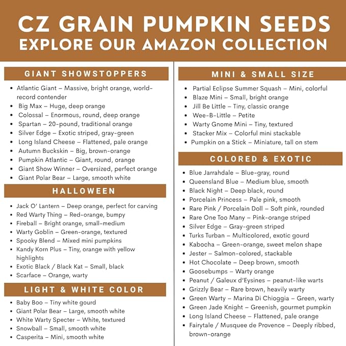 Exotic Black Kat Pumpkin Seeds for Planting (10 Seeds) – Deep Black, Smooth-Skinned Pumpkins – Rare Decorative Variety for Fall Gardens, Halloween Displays & Autumn Décor