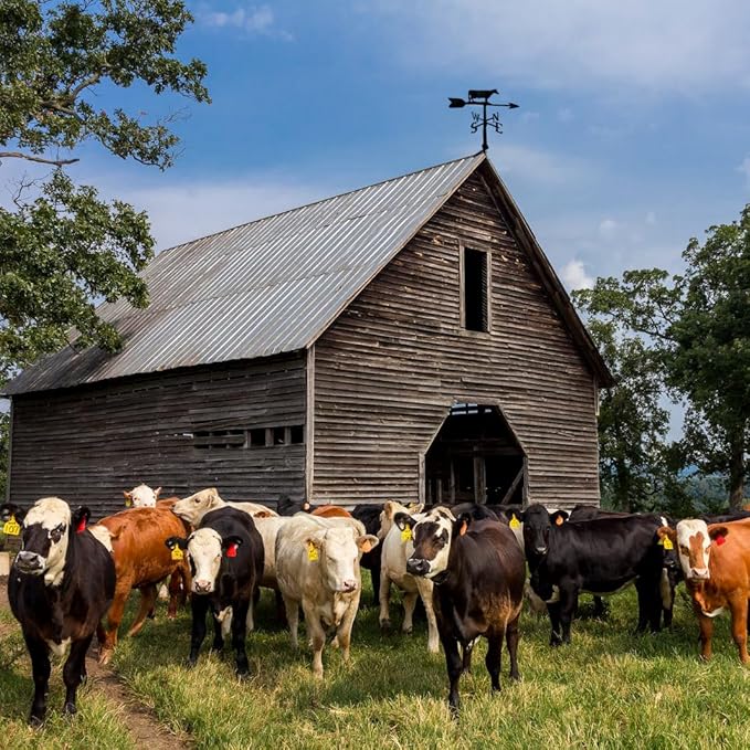 Montague Metal Products - Cow Weathervane - 6 Colors Available - Outdoor Windvane - Roof Metal Decor - Mount Included (4 to Choose from) - Hand Cast Aluminum Weathervane