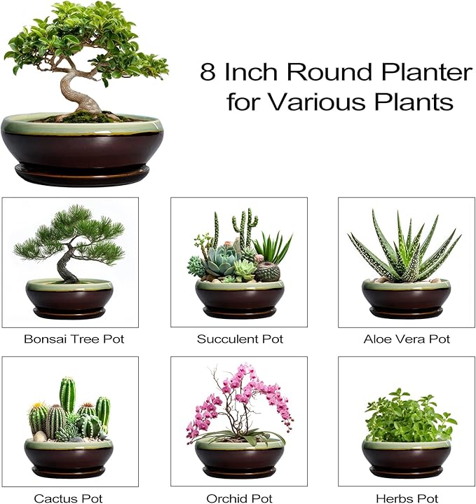 SQOWL Bonsai Pots 8 Inch - Ceramic Succulent Planters with Drainage Hole and Tray, Round Shallow Planter for Indoor Plants, Ceramic Planter Bowl Outdoor, Living Room Decor, Garden Gift, Green-Brown