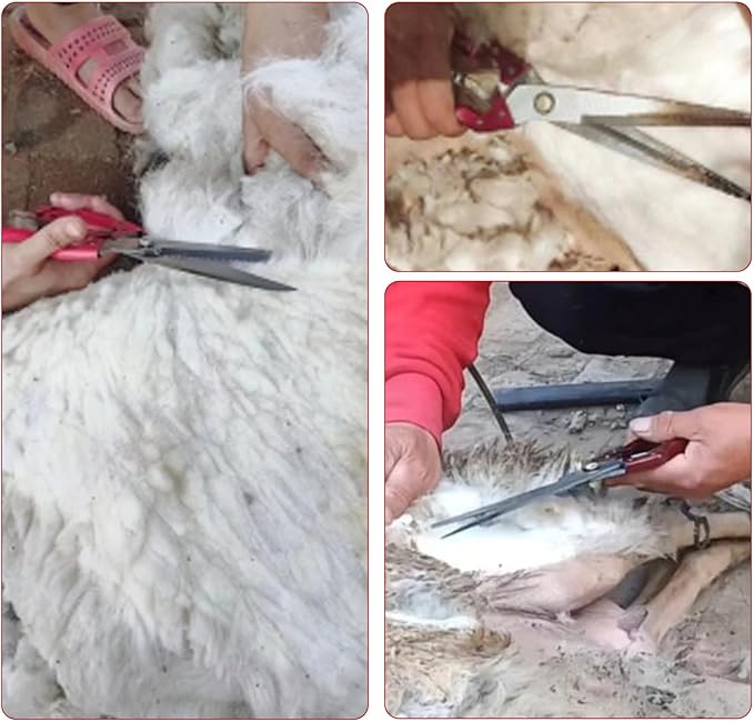 1PCS Multifunctional Stainless Steel Sheep Shears Hand Pruner, Powerful Spring Garden Shears，Wool Shears Manual Cow Wool Scissors Supplies Tool Pet