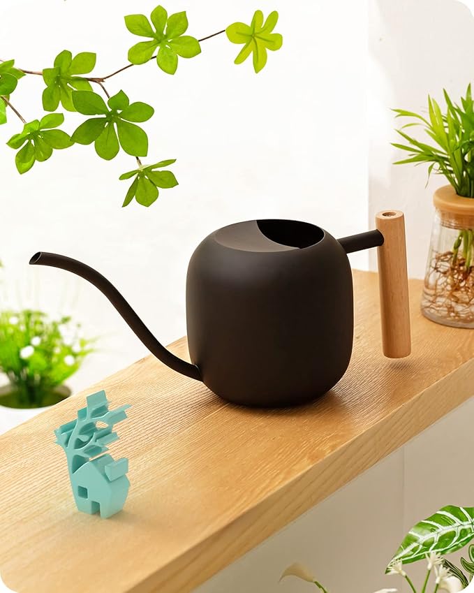 Baffect Watering Can Indoor Plants, 1.2L/41OZ Cute Watering Can Pot, Metal Stainless Steel Garden Water Can with Long Spout for Indoor House Plants Bonsai Outdoor Garden Flower Decorative