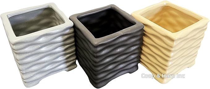 Coop & Harp 3-Stalk 4" Lucky Bamboo Live Indoor Plant with Ceramic Cube Textured Vase, Live Indoor Lucky Bamboo for Home, Office and Gift (Cube Gray)