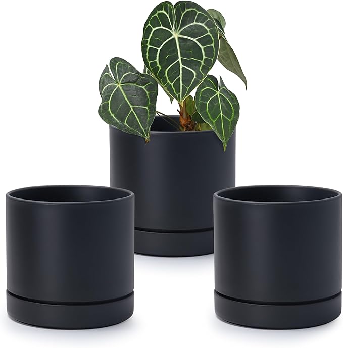 6 Inch Modern Plastic Round Pots for Indoor Houseplants and Herbs, Pack of 3 Planter Pot with Drainage Hole & Saucer, Deep Water Catch Tray, Straight Cylindrical Pot for Plants, Matte Black, 23-D-S-2