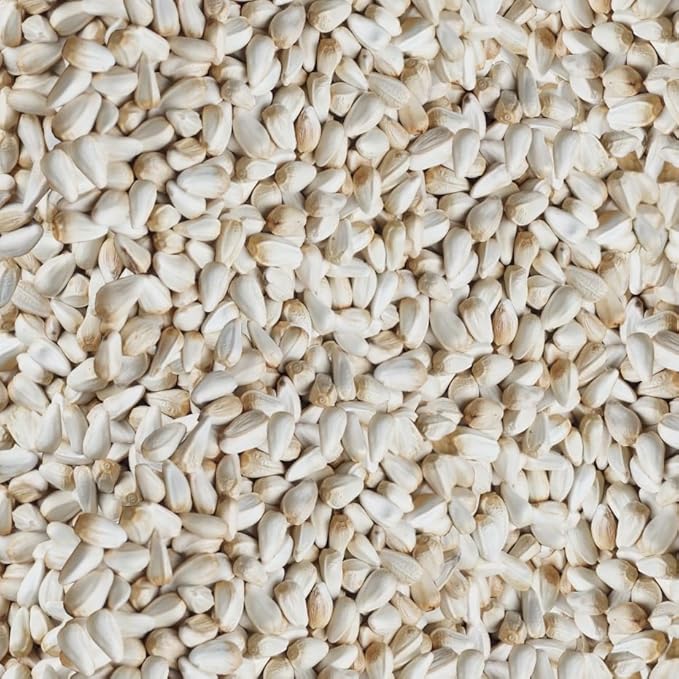 Happy Wings Safflower Seeds Wild Bird Food - 5 Pounds I No Grow Seed I Bird Seed for Wild Birds