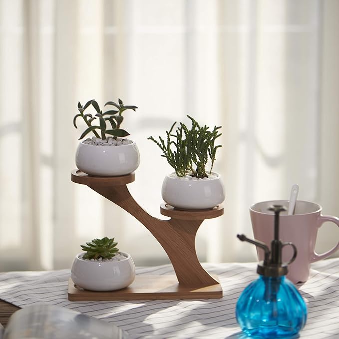 FLOWERPLUS Planter Pots Indoor, 3 Pack 3 Inch White Ceramic Decorative Small Round Succulent Cactus Flower Plant Pot with Tree Tier Bamboo Stand for Garden Kitchen Home Office Desk Decorations