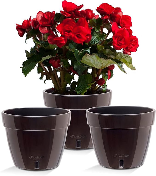 Santino AST 7.9 Inch Self Watering Planter Black-Gold/Black - Set of 3 for Indoor Plants - Premium Quality Plastic Pot with Water Level Indicator for All House Herbs, African Violets and Dahlias