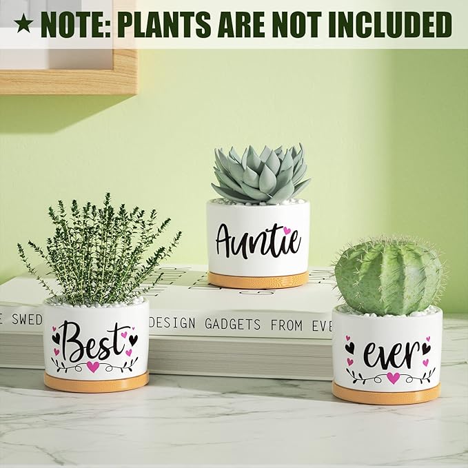MAYICIVO Christmas Aunt Gifts from Niece Nephew, Best Gifts for Aunt, Best Auntie Ever Gifts Succulent Pots for Plants Indoor Ceramic Planter, Gift Boxed Aunt Birthday Gifts for Aunt Auntie