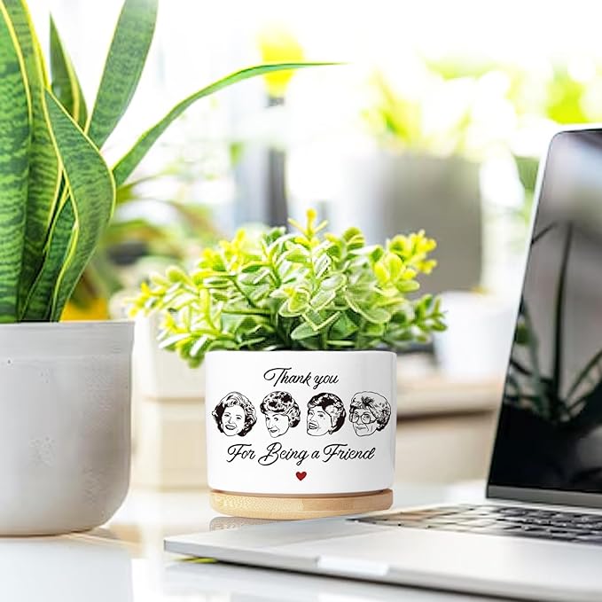 Friend Gifts for Women, Succulent Planter, Flower Cactus Plant Pot, Friendship Gifts for Women Friends Bestie Sister, Golden Merchandise, Thank You for Being A Friend (No Plants)