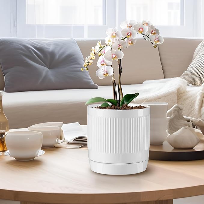 Vanavazon Ceramic Planter Pots for Indoor Plants with Drainage Hole and Saucer,6 Inch Cylinder Plant Pots,Glazed Finish Interior and Exterior,Set of 2 (White)